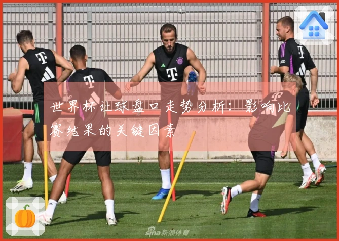世界杯让球盘口走势分析：影响比赛结果的关键因素