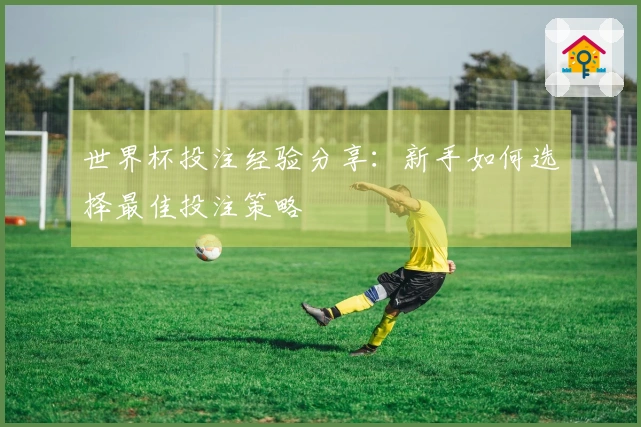 世界杯投注经验分享：新手如何选择最佳投注策略
