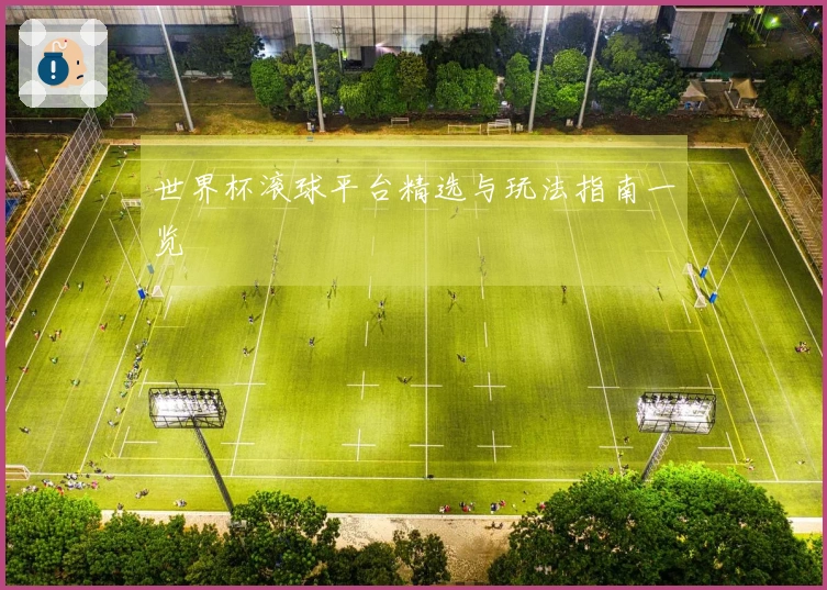 世界杯滚球平台精选与玩法指南一览