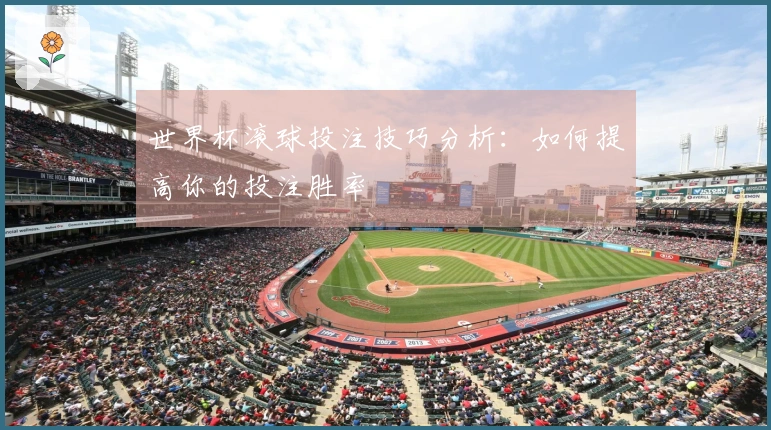 世界杯滚球投注技巧分析：如何提高你的投注胜率