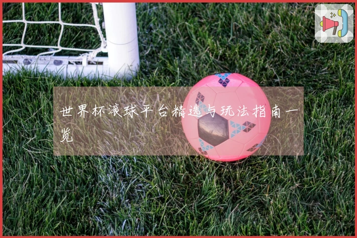 世界杯滚球平台精选与玩法指南一览
